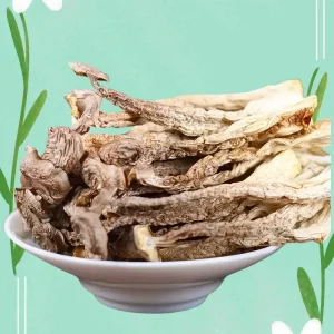 77b62980 d850 4dd6 b17b d778c41fe287