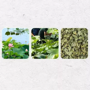 9095a9bd 926a 4643 8b48 cb5e41aaa401