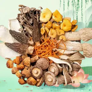 fcf115ad a57e 4698 88dc 9470008c0f31